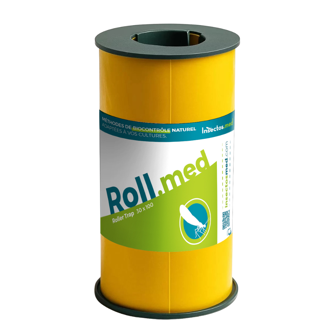ROLLMED – Y